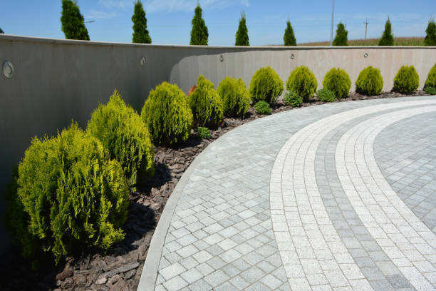 Best Decorative Driveway Pavers  in Jackson, GA